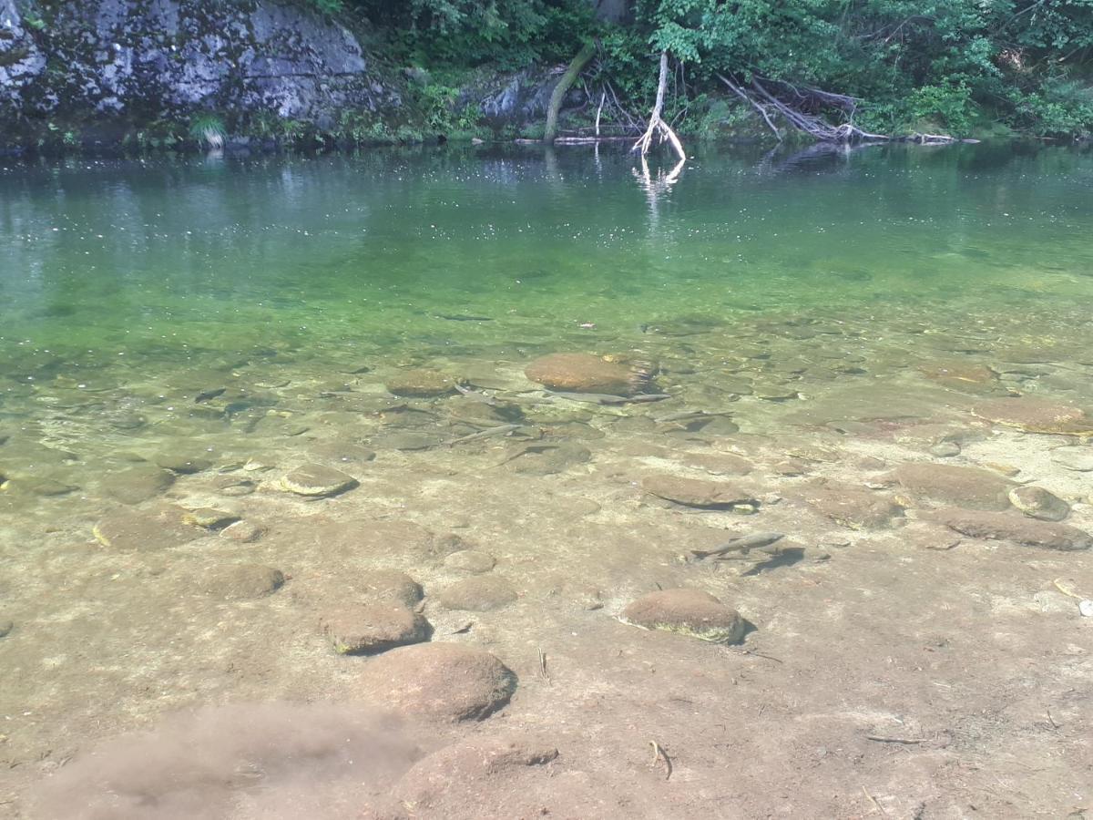 Appartamento La Meridiana A Traffiume Каннобио Экстерьер фото